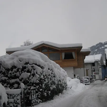 Neumayr-vivicell *
